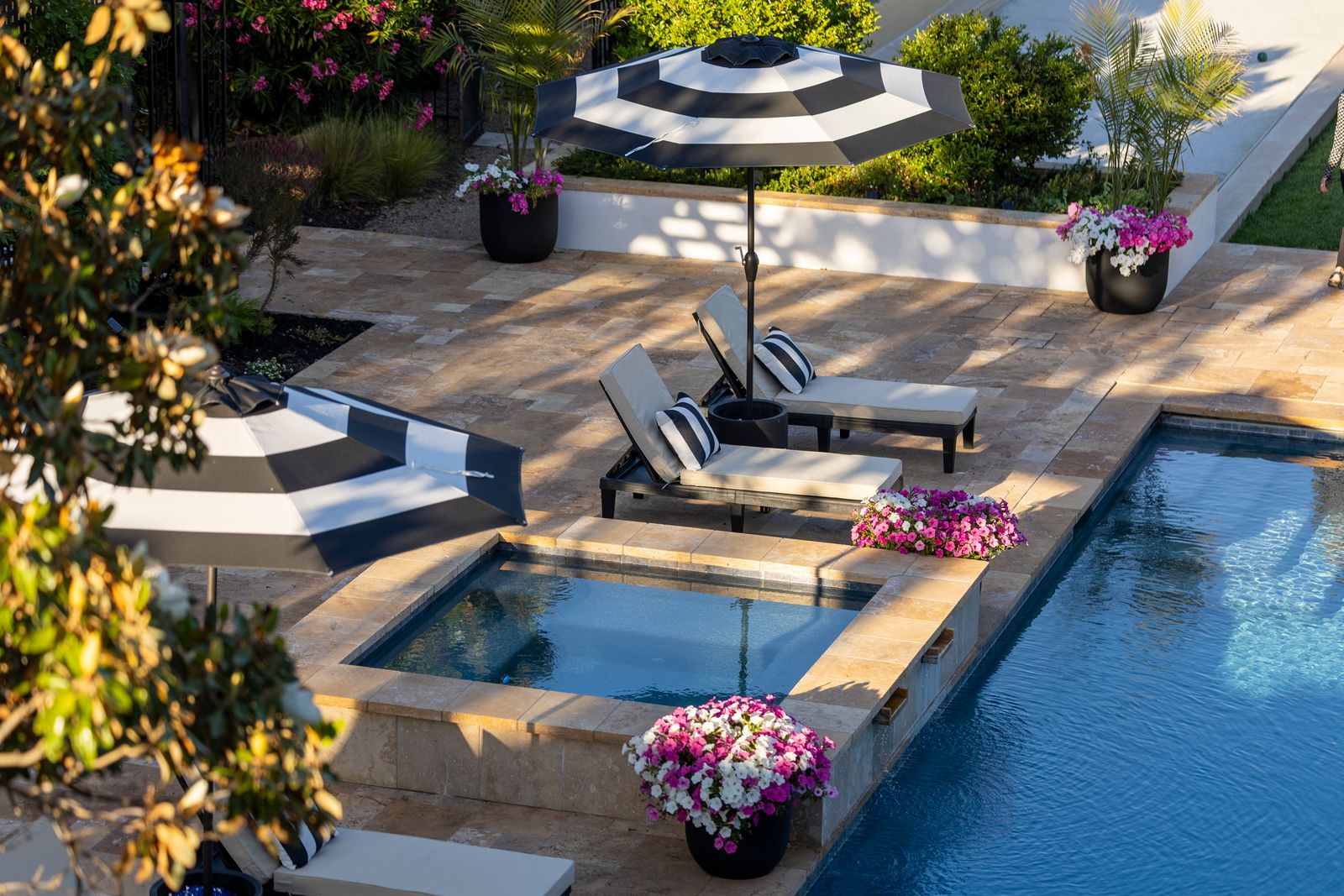 Walterhouse Pool and Spa — Pool Builder